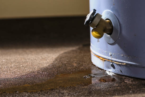 Best Flood restoration services  in Shell Rock, IA