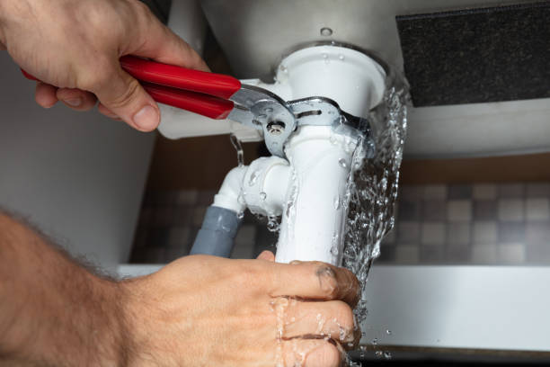 Best Residential water damage restoration  in Shell Rock, IA