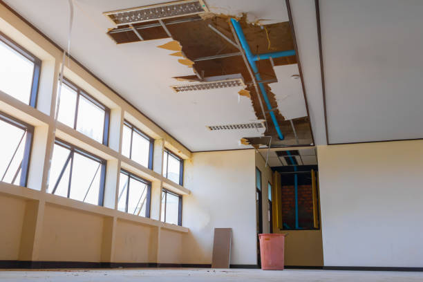 Best Flood damage cleanup  in Shell Rock, IA