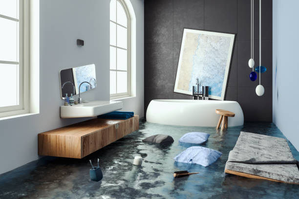 Best Basement water damage restoration  in Shell Rock, IA