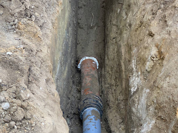 Best Water damage restoration cost  in Shell Rock, IA