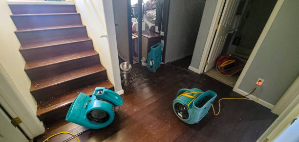 Best 24-hour water damage restoration  in Shell Rock, IA