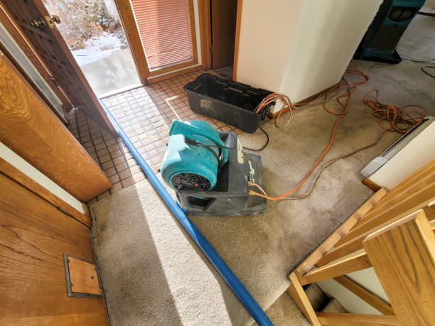 Best Water damage contractors near me  in Shell Rock, IA
