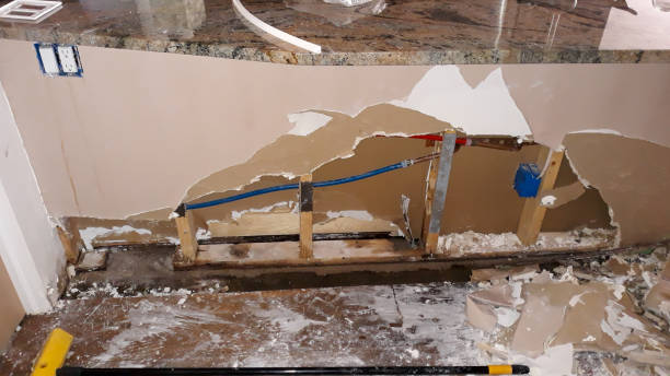 Best Sewage cleanup and water damage restoration  in Shell Rock, IA