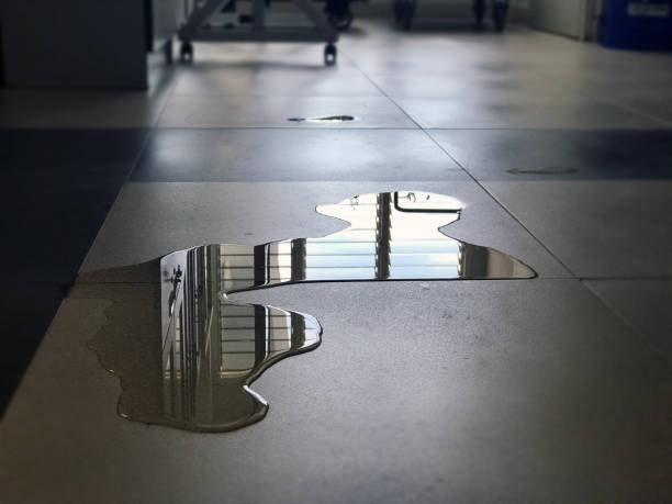 Best Commercial water damage restoration  in Shell Rock, IA