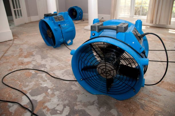 Best Carpet water damage restoration  in Shell Rock, IA