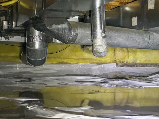  Shell Rock, IA Water damage restoration Pros