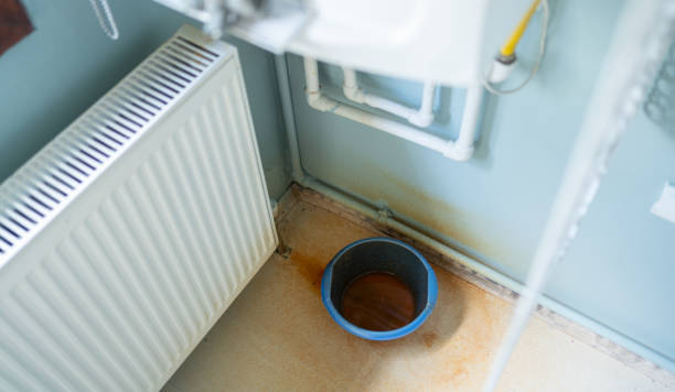 Best Water damage restoration company  in Shell Rock, IA