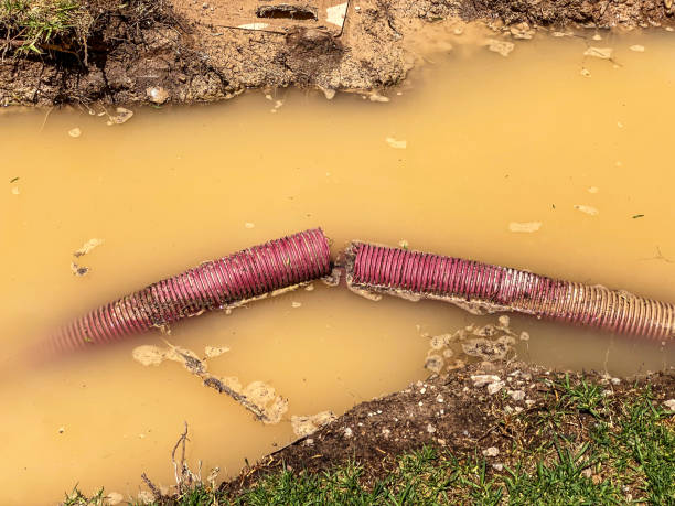 Best Flood damage cleanup  in Shell Rock, IA