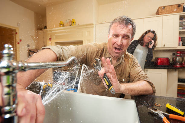 Best 24/7 water damage repair  in Shell Rock, IA